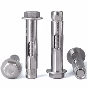 Tornillo de expansión de acero inoxidable M6